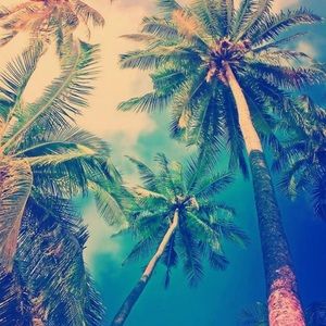 Meet your Posher, Miah